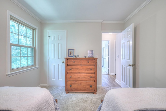 943 E Northfield Blvd, Murfreesboro, TN 37130 - bedroom featuring ornamental molding and carpet floors