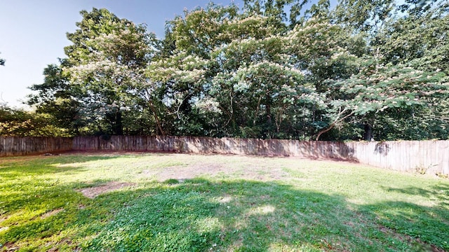 152 Mink Branch Rd E, Waynesboro, TN 38485 - view of fenced backyard
