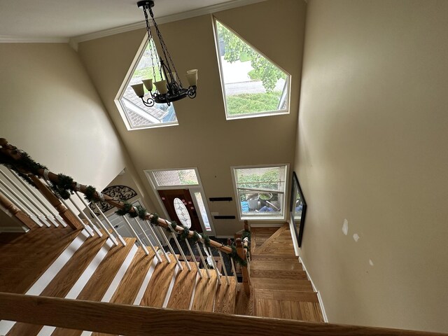 3213 Alpine Ave, Nashville, TN 37218 - photo 8