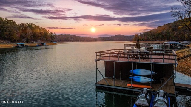645 Bankston Ln, La Follette, TN 37766 - dock with a water view