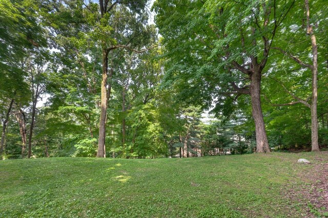 1002 Cadbury Ct, Brentwood, TN 37027 - photo 40