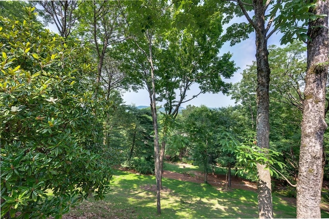 1002 Cadbury Ct, Brentwood, TN 37027 - photo 39