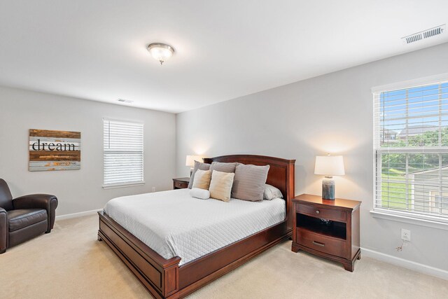 444 Heroit Dr, Spring Hill, TN 37174 - bedroom with light colored carpet