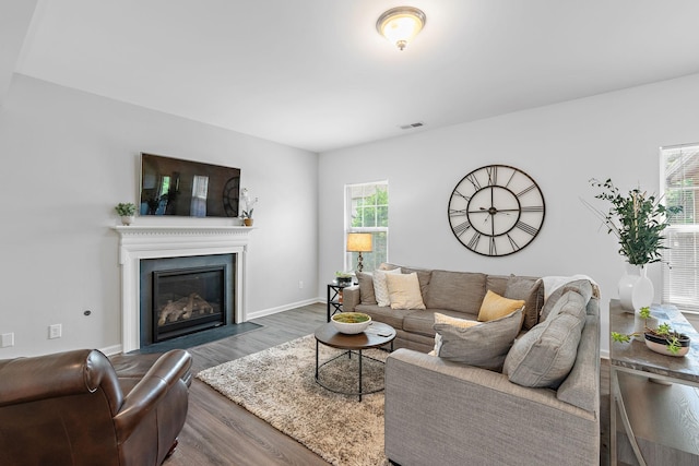 444 Heroit Dr, Spring Hill, TN 37174 - living area with wood finished floors and a fireplace with flush hearth