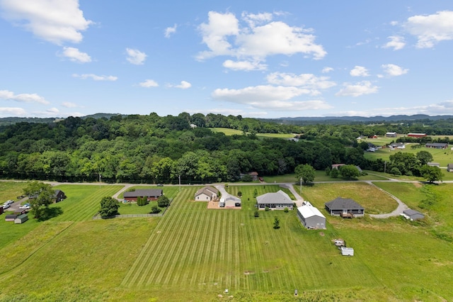 315 Burnley Rd, Hartsville, TN 37074 - photo 36