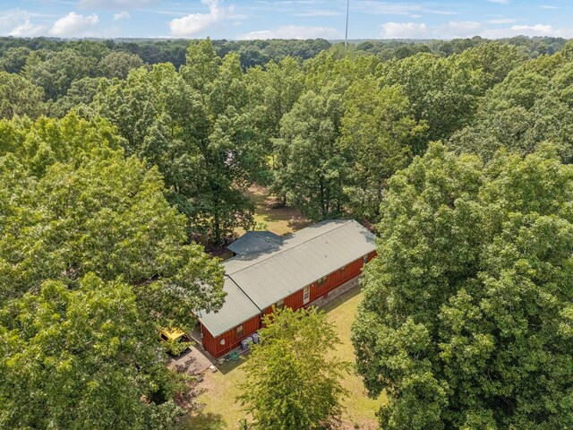 4835 Summertown Hwy, Summertown, TN 38483 - photo 26