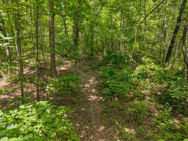 4835 Summertown Hwy, Summertown, TN 38483 - photo 30