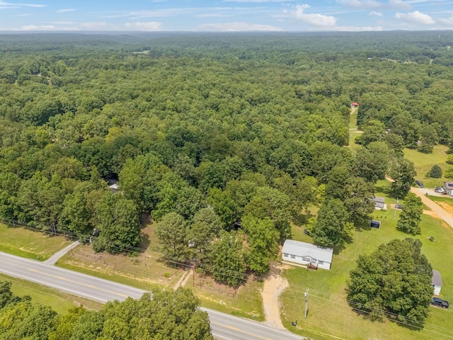 4835 Summertown Hwy, Summertown, TN 38483 - photo 28