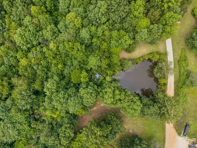 4835 Summertown Hwy, Summertown, TN 38483 - photo 32