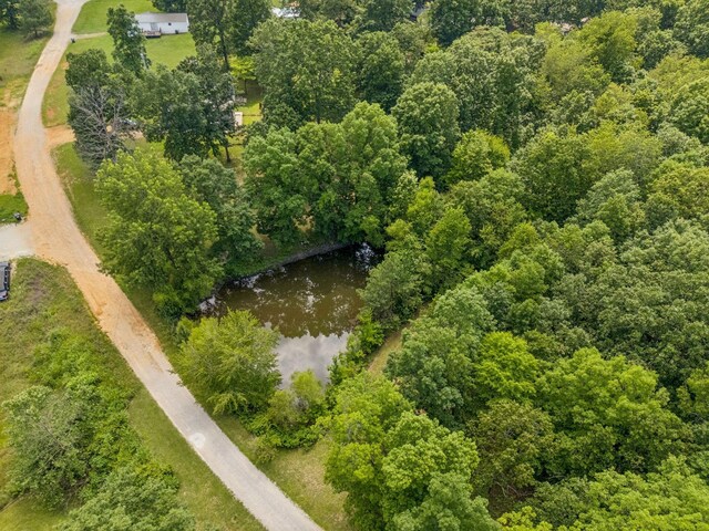 4835 Summertown Hwy, Summertown, TN 38483 - photo 31