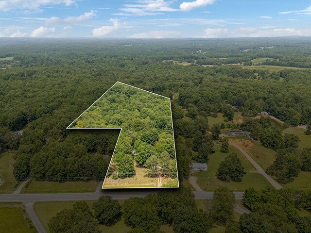 4835 Summertown Hwy, Summertown, TN 38483 - photo 27