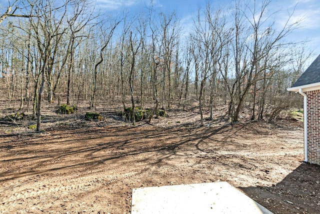 991 Scenic Dr, Pulaski, TN 38478 - view of yard