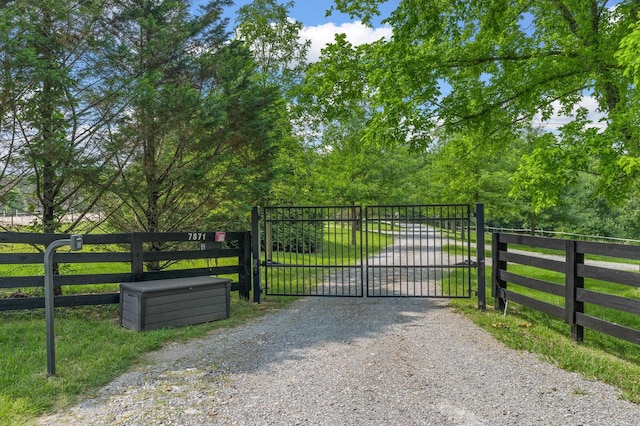 7871 Oscar Green Rd, Primm Springs, TN 38476 - view of gate