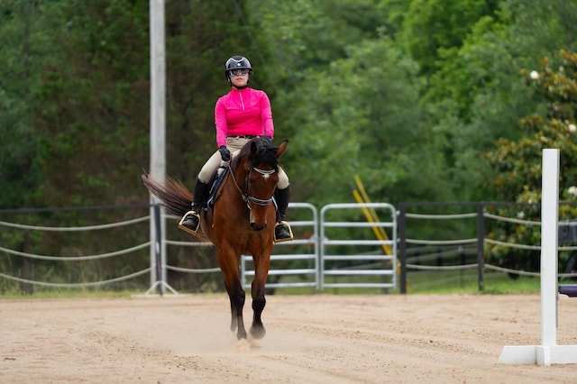 7871 Oscar Green Rd, Primm Springs, TN 38476 - view of horse barn
