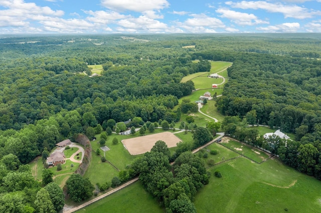 7871 Oscar Green Rd, Primm Springs, TN 38476 - bird's eye view of a forest