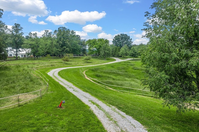7871 Oscar Green Rd, Primm Springs, TN 38476 - surrounding community with a view of countryside and driveway
