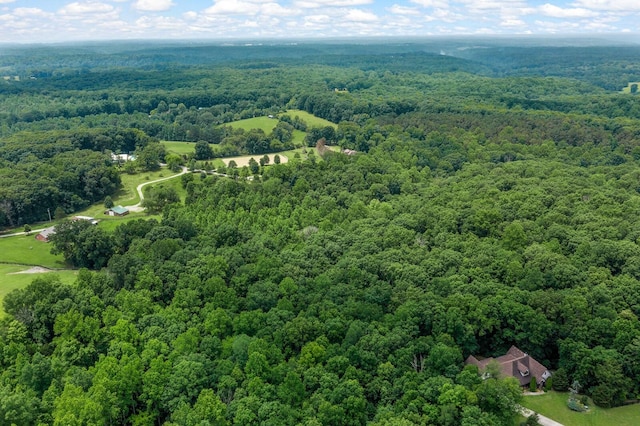 7871 Oscar Green Rd, Primm Springs, TN 38476 - drone / aerial view of a forest
