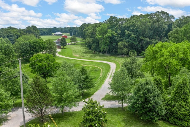 7871 Oscar Green Rd, Primm Springs, TN 38476 - drone / aerial view