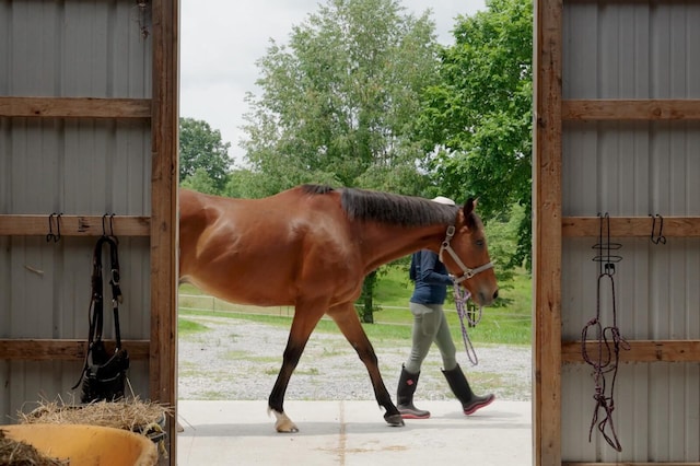 7871 Oscar Green Rd, Primm Springs, TN 38476 - view of stable
