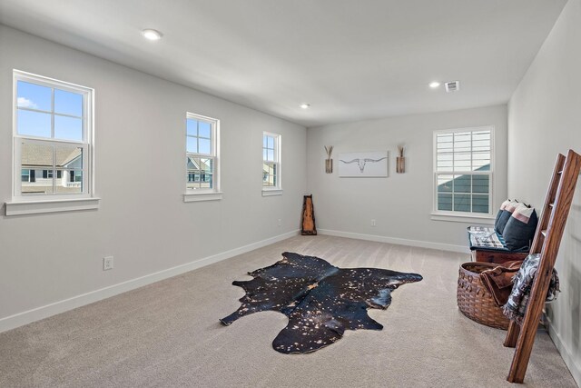 406 Ryan Ave, Gallatin, TN 37066 - photo 28