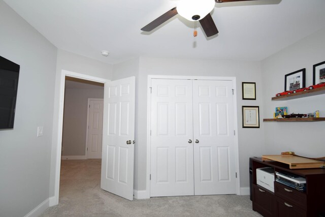 1017 Wickshire Dr, Gallatin, TN 37066 - photo 59