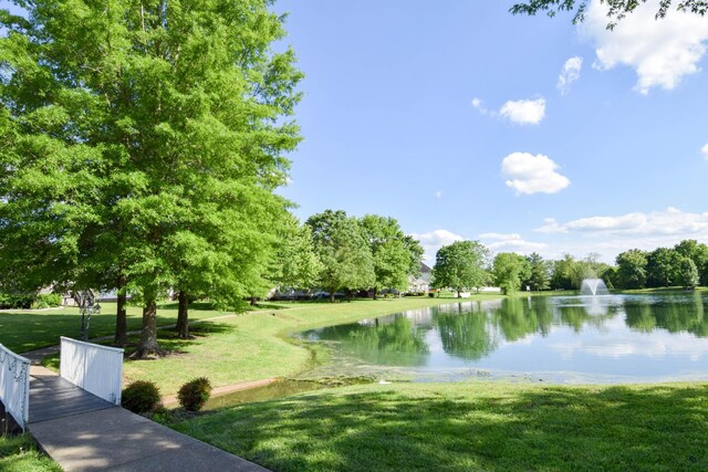 1017 Wickshire Dr, Gallatin, TN 37066 - photo 91