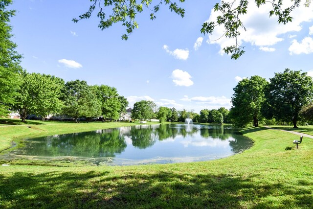 1017 Wickshire Dr, Gallatin, TN 37066 - photo 90