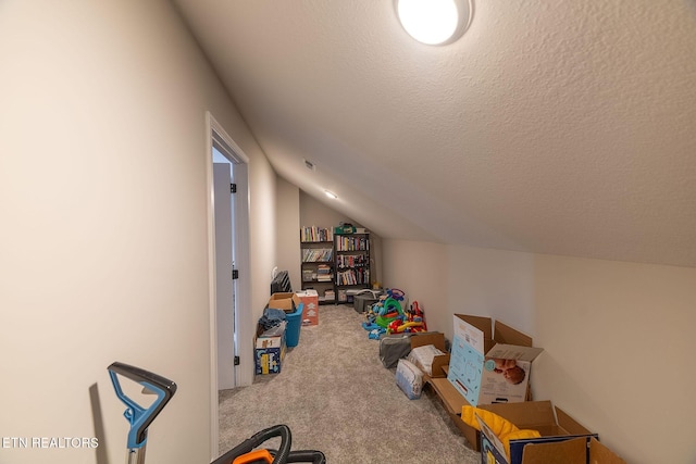 102 Chaseberry Rd, Oak Ridge, TN 37830 - playroom with carpet flooring and lofted ceiling