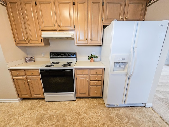 107 Cascade Ln, Bell Buckle, TN 37020 - photo 8