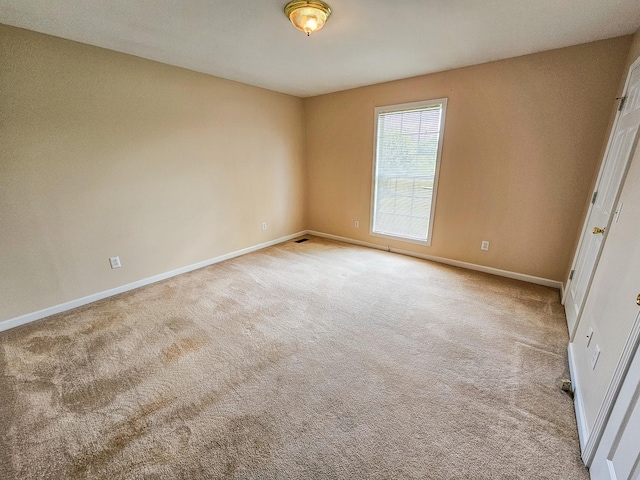 107 Cascade Ln, Bell Buckle, TN 37020 - photo 10