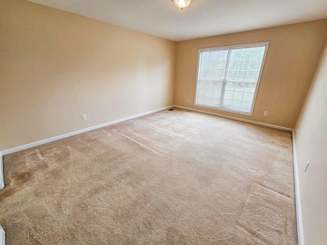 107 Cascade Ln, Bell Buckle, TN 37020 - photo 16