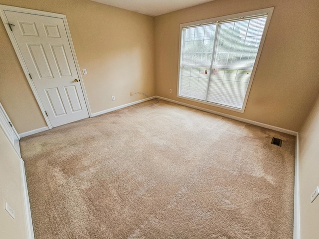 107 Cascade Ln, Bell Buckle, TN 37020 - photo 18