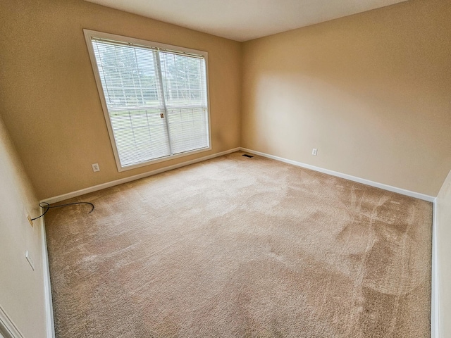 107 Cascade Ln, Bell Buckle, TN 37020 - photo 19