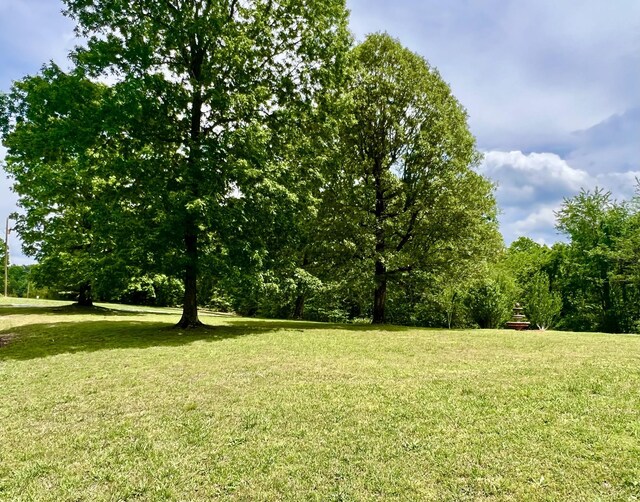 159 Mindy Dr, Waynesboro, TN 38485