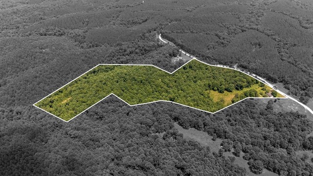4019 Andrews Grocery Rd, Westpoint, TN 38486