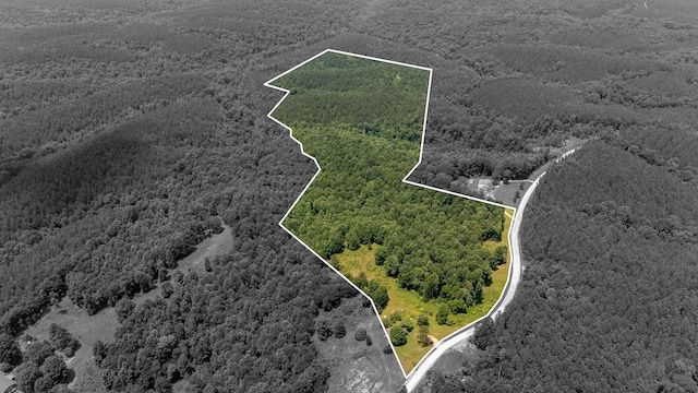 4019 Andrews Grocery Rd, Westpoint, TN 38486