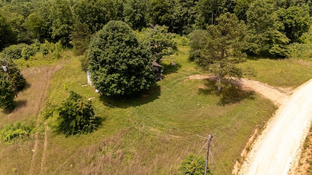 4019 Andrews Grocery Rd, Westpoint, TN 38486