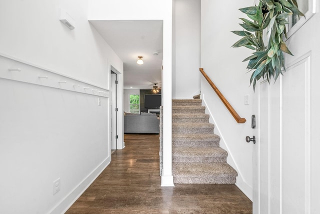 200 Sambar Dr, Clarksville, TN 37040 - photo 5