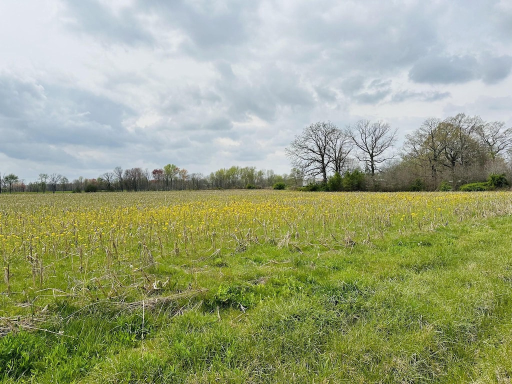 270 Dugout Rd, Summertown, TN 38483