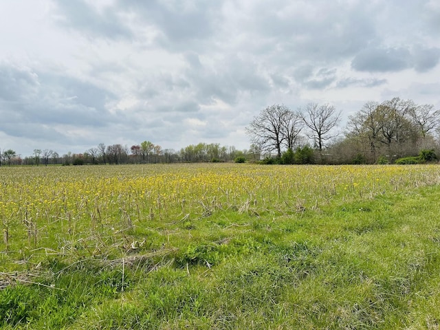 270 Dugout Rd, Summertown, TN 38483