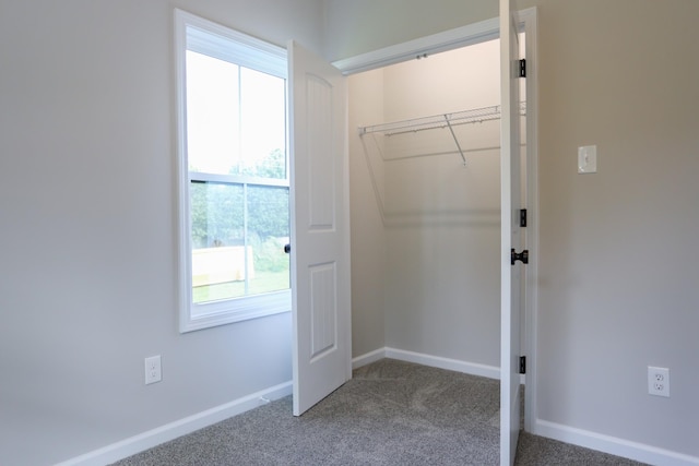 505 Depot St, Chapel Hill, TN 37034 - view of closet
