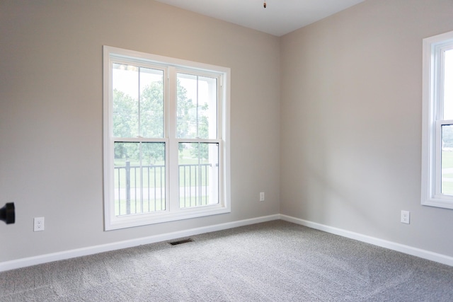 505 Depot St, Chapel Hill, TN 37034 - carpeted empty room with baseboards