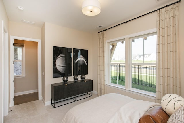 1935 Harmony Rd, Spring Hill, TN 37174 - carpeted bedroom with multiple windows