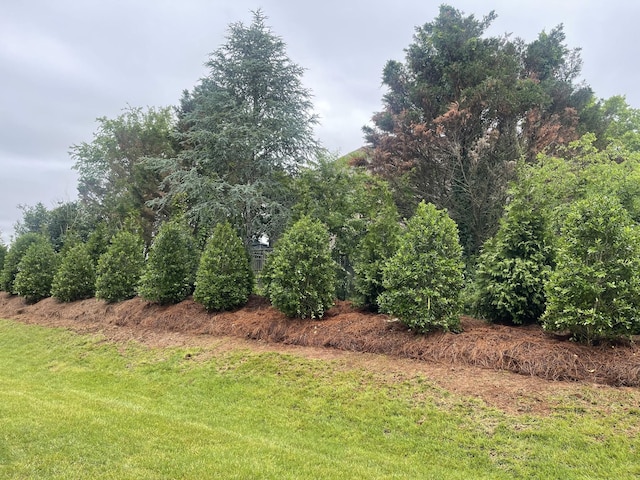 1935 Harmony Rd, Spring Hill, TN 37174 - view of green lawn