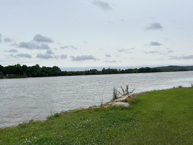 1159 River Front Dr, Clifton, TN 38425