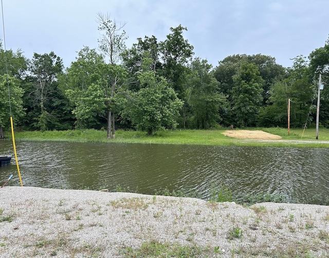 1159 River Front Dr, Clifton, TN 38425