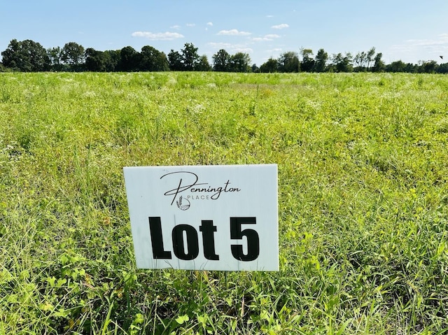 326 Dugout Rd, Summertown, TN 38483
