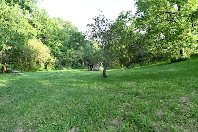 398 Elmore Town Rd, Baxter, TN 38544 - view of green lawn featuring a wooded view
