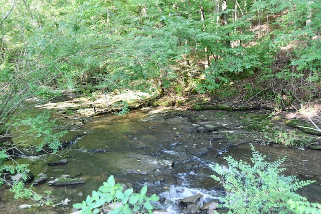 398 Elmore Town Rd, Baxter, TN 38544 - view of nature