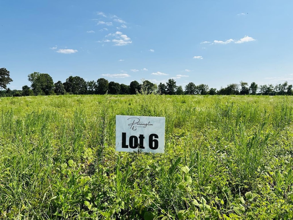 338 Dugout Rd, Summertown, TN 38483